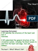 The Heart Structure and Function