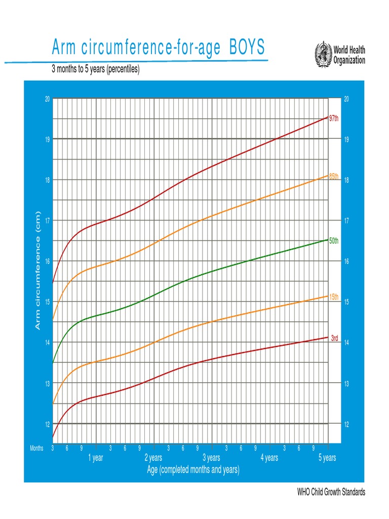 Boys Chart Arm Circumference For Age3 Months To 5 Years (Percentiles) PDF