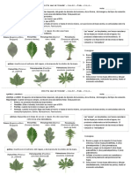 Act Dom. 4° CNAPP. Formas Hojas. PByS. EPES 2 EP. 2021