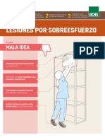 FD Lesiones Por Sobreesfuerzo V1