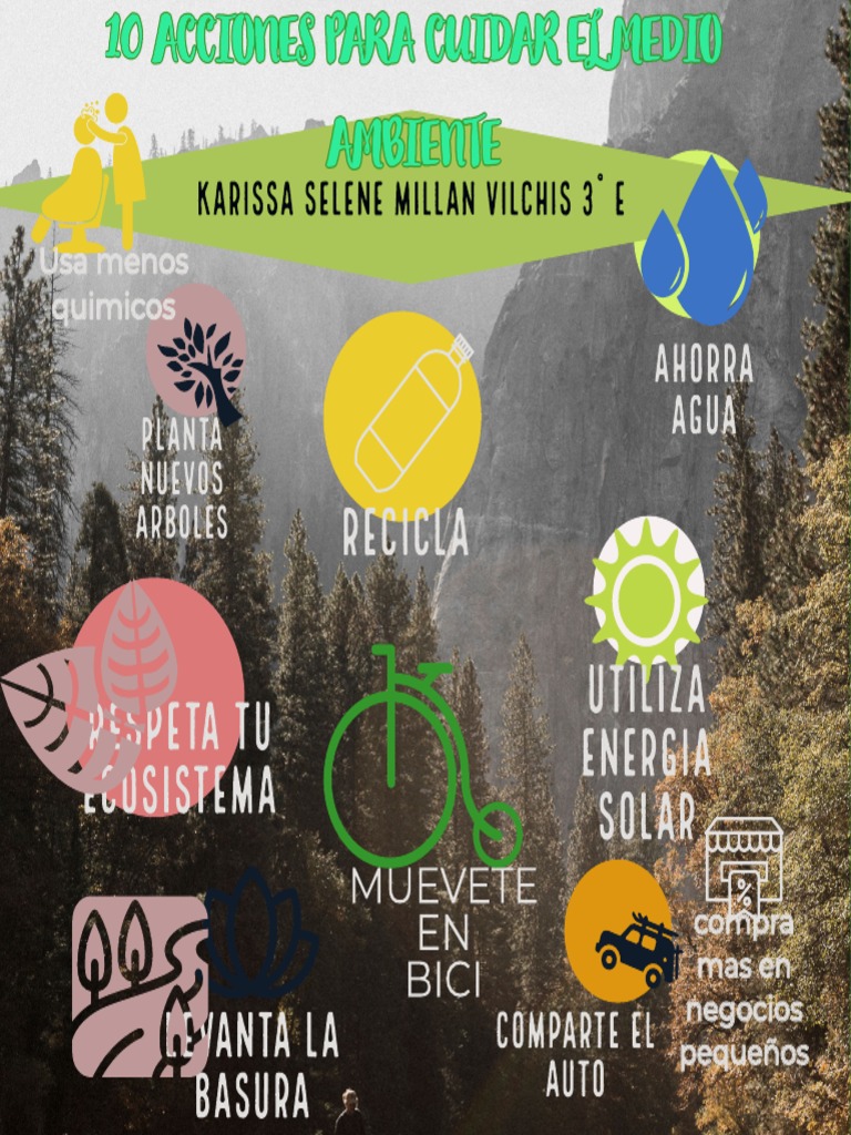 Cartel 10 Acciones para Cuidar El Medio Ambiente | PDF