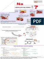 Infográfico Sódio