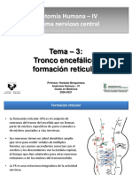 Tema 3 SNC