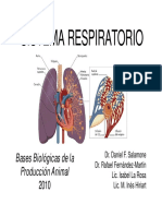 Clase 6 Sistema Respiratorio