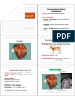 Mi Clase de Anatomia Basica Total