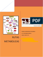 Cuestionario Unidad 4 Bioquimica Rutas Metabolicas 2