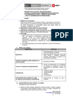 BASES CAS N°047-2021