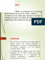 AMBIENTE