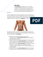 Modulo 6 - Gastrointestinal