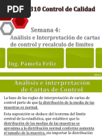 Analisis e Interpretacion de Graficas y Calculo de Limites