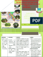 Explicamos La Conservación de La Biodiversidad (Áreas Naturales Protegidas Del Perú)