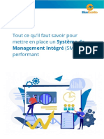 Tout Ce Qu'il Faut Savoir Pour Mettre en Place (SMI) Performant