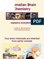 Mammalian Brain Chemistry: Explains Everything
