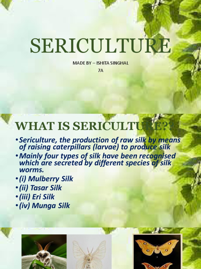Overview of Sericulture Practices | PDF | Home & Garden