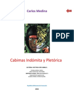 Cabimas Indómita y Pletórica. 2015. Carlos Medina