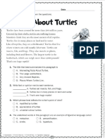 Turtle Reading Passage