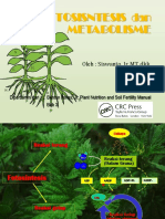 Tema 5 Metabolisme