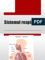 Sistemul Respirator