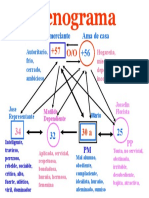 Const. de GENOGRAMA ANIMADO