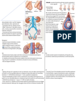 Idrocele VS Varicocele