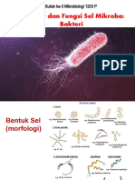 Kuliah 3 - Stuktur & Fungsi Sel Bakteri - 2020
