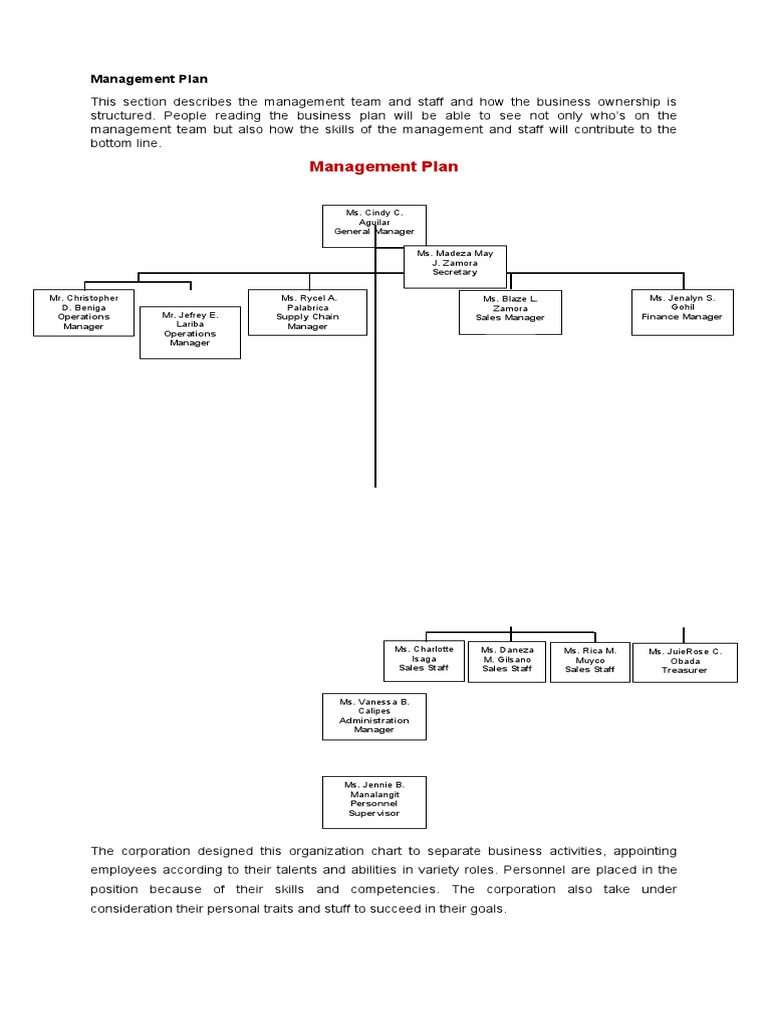 Management Team Overview and Roles | PDF | Employment | Sales