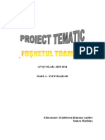 Proiect tematic toamna
