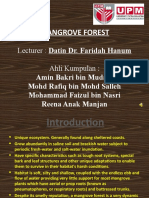 Mangrove Forest: Lecturer: Datin Dr. Faridah Hanum Ahli Kumpulan