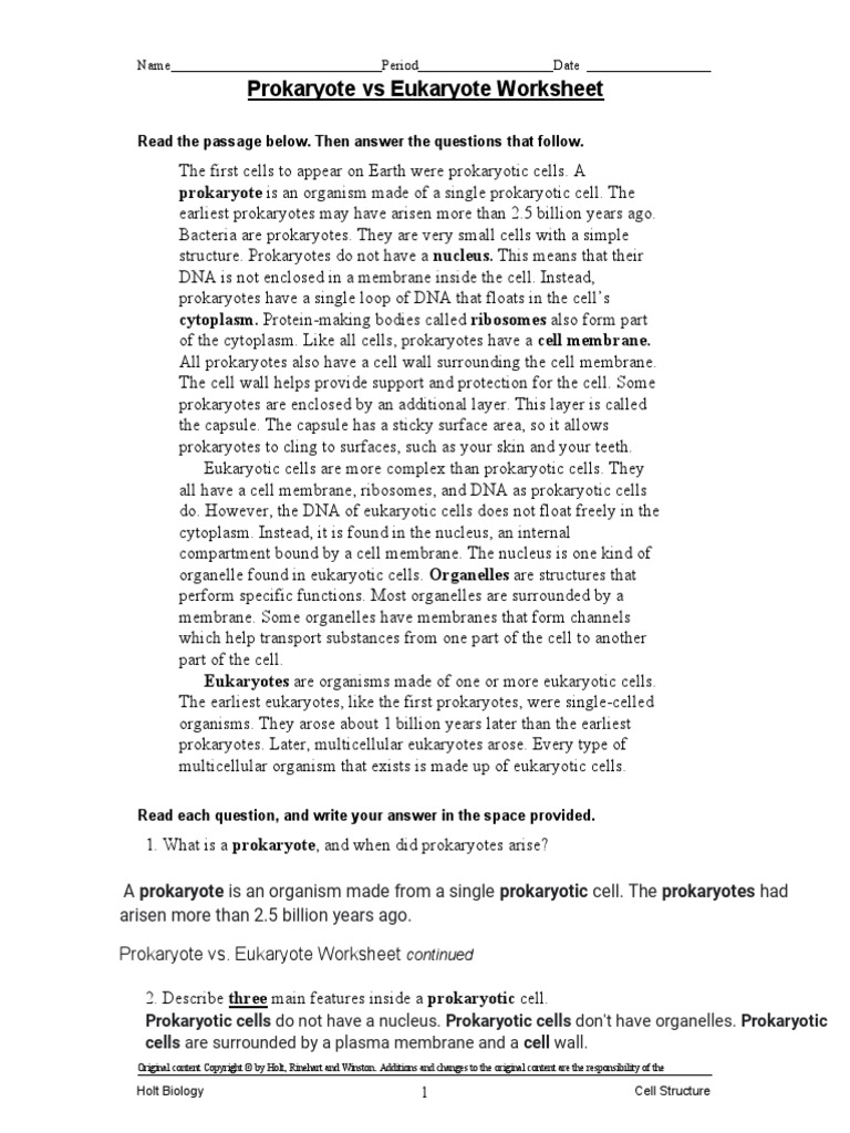 Prokaryote Vs Eukaryote Worksheet | PDF | Prokaryote | Organelle
