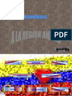 Diapositivas Region Andina