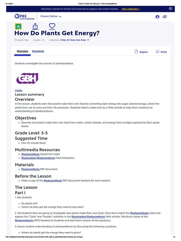 How Do Plants Get Energy PBS LearningMedia PDF Photosynthesis