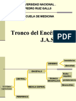 2.-Tronco Encefálico.