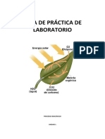 Guia de Practicas Biologia para Enfermer