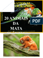 20 Animais Da Mata Atlântica (1)