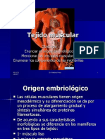 Tejido Muscular 1 UES FMOCC