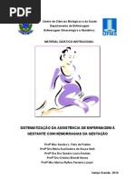 Download SISTEMATIZAO DA ASSISTNCIA DE ENFERMAGEM  GESTANTE COM HEMORRAGIAS DA GESTAO by Sandra Freitas SN50752432 doc pdf