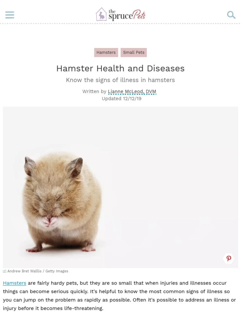 Hamster Health and Diseases PDF Diarrhea Infection