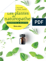 Plantes Du Naturopathe Les Sarah Stulzaft