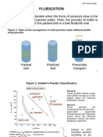Fluidized Bed