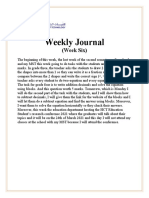 Weekly Journal: (Week Six)