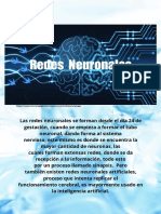 Redes Neuronales