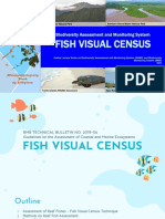 BAMS - Fish Visual Census