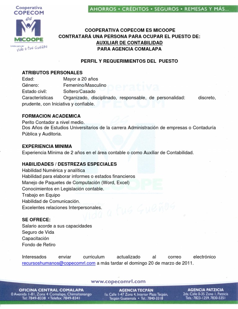 Perfil Para Contratar Auxiliar De Contabilidad PDF