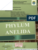 Phylum Anelida