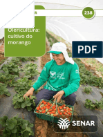 238 Olericultura Cultivo Do Morango