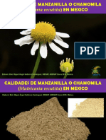 Calidades de Manzanilla