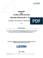 Rapport de Stage REGUI Hajar HSE