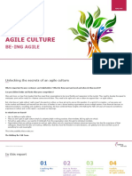 Agile Culture - Walking The Talk2