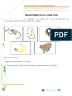 Actividad Niveles de Organización