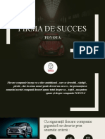 Firma de Succes